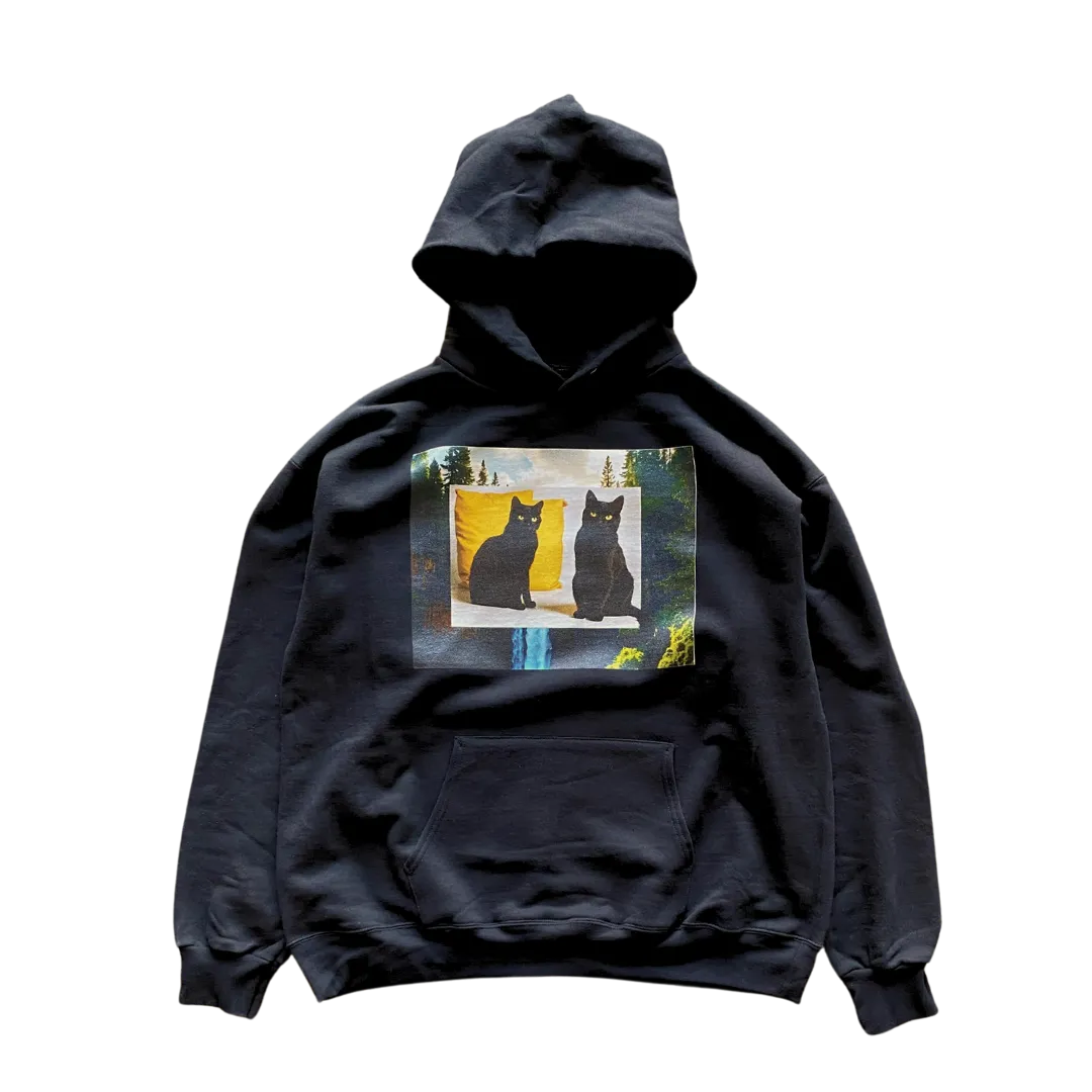 Cat Stills Hoodie